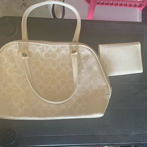 Fake coach bag and wallet